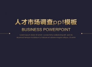 人才市场调查ppt模板