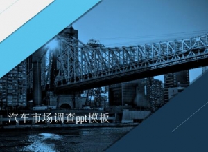 汽车市场调查ppt模板