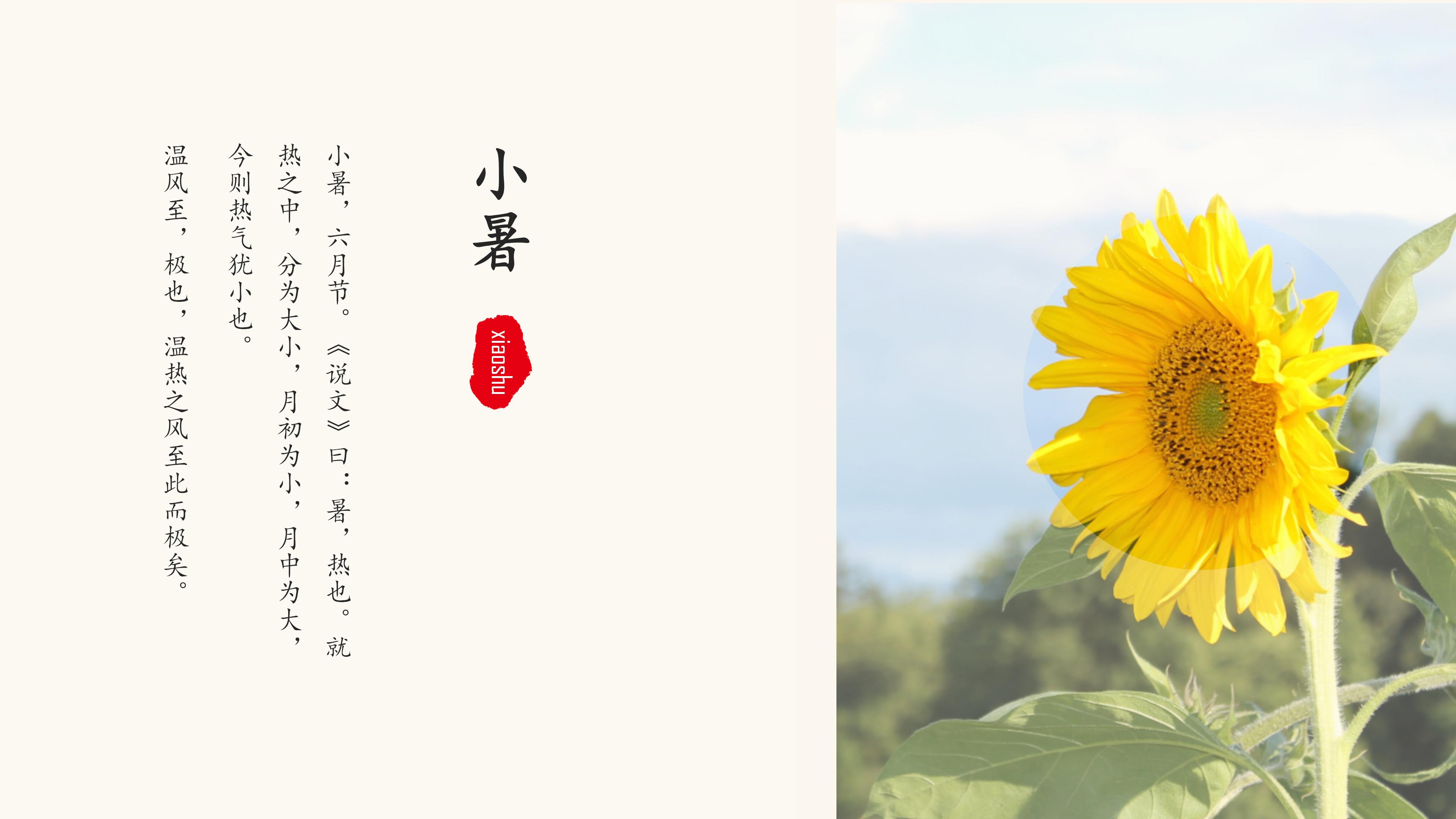 二十四节气之小暑生活常识介绍ppt模板