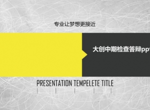 大创中期检查答辩ppt模板