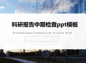 科研报告中期检查ppt模板