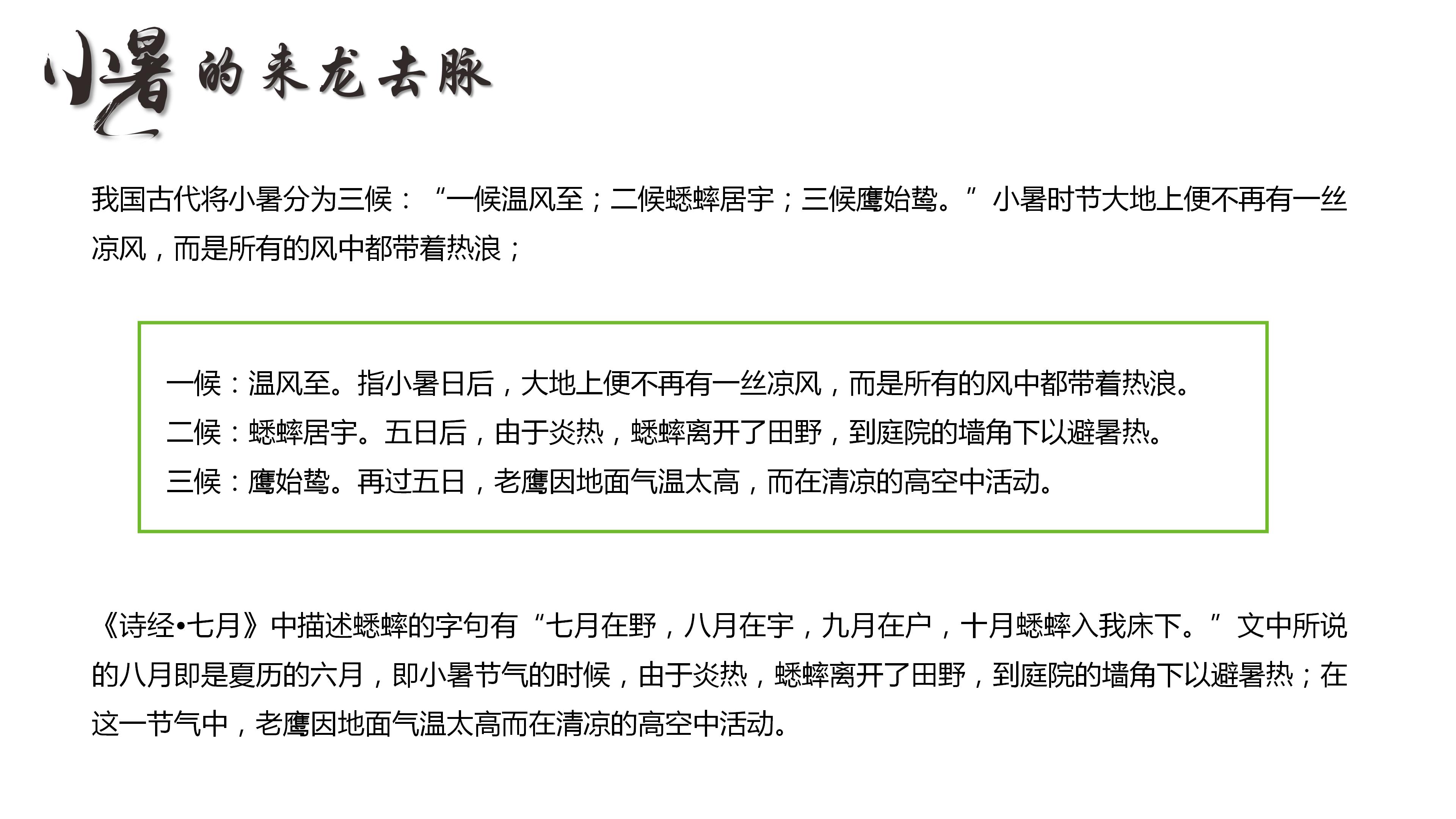 卡通二十四节气之小暑常识介绍ppt模板