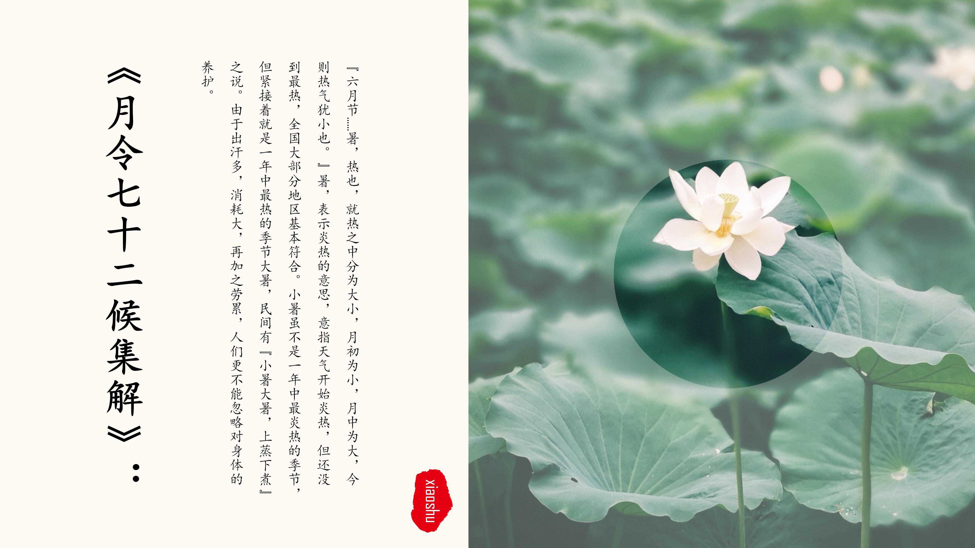 二十四节气之小暑生活常识介绍ppt模板