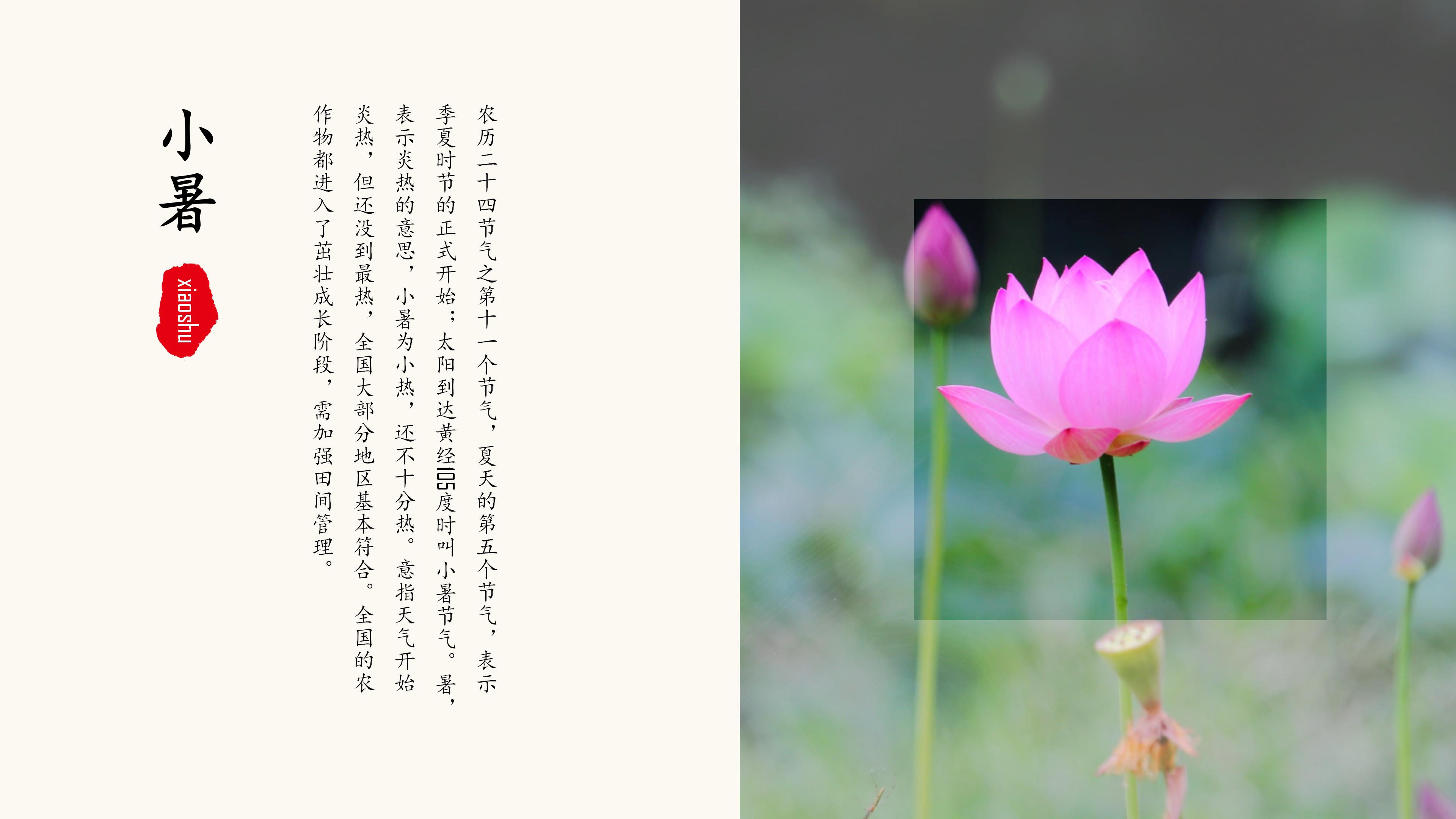 二十四节气之小暑生活常识介绍ppt模板