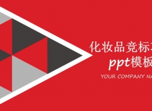 化妆品竞标项目ppt模板