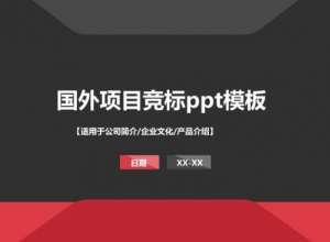 国外项目竞标ppt模板