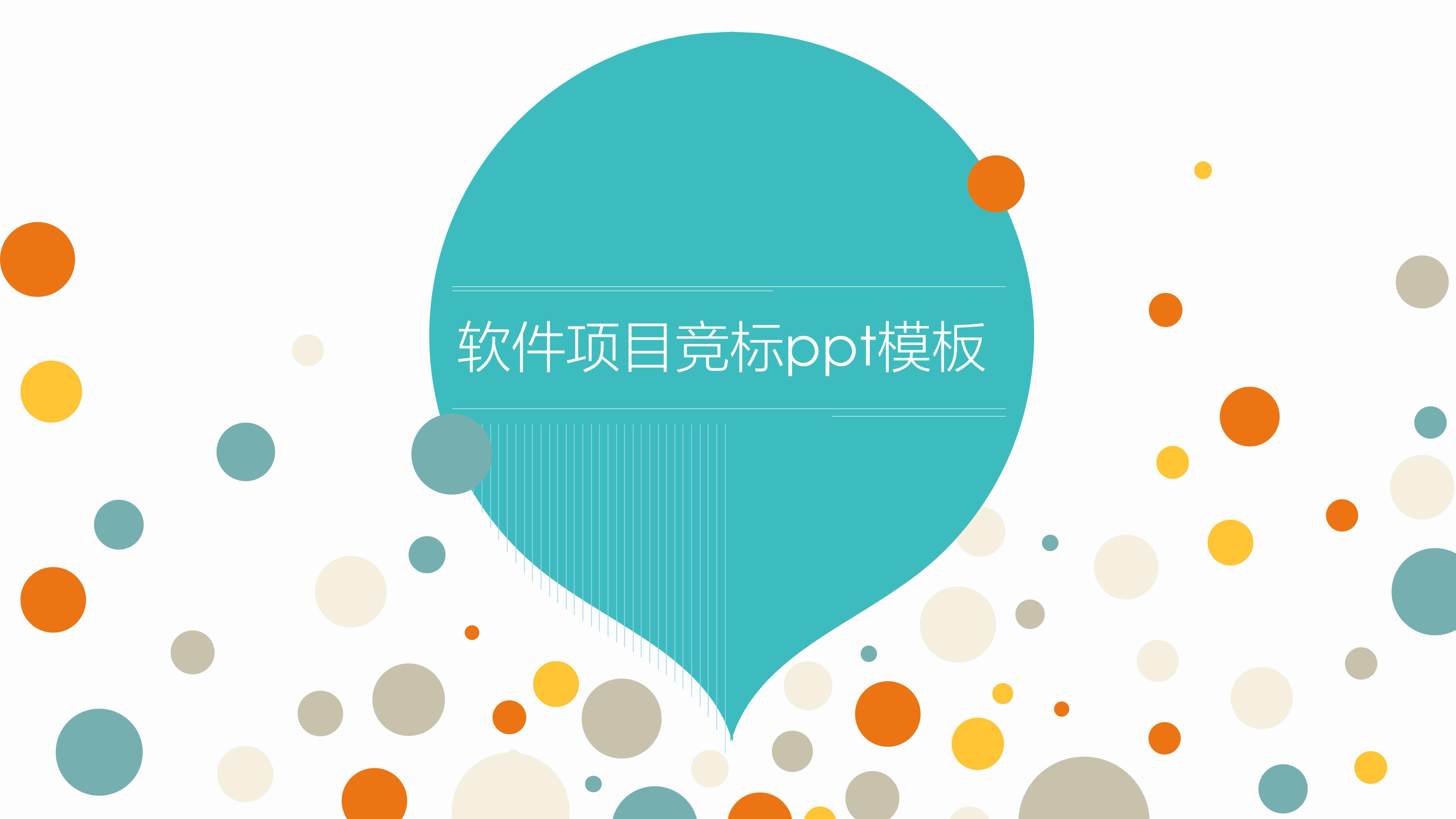 软件项目竞标ppt模板