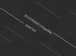 成功营销案例分析ppt模板