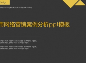 城市网络营销案例分析ppt模板