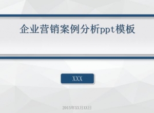 企业营销案例分析ppt模板