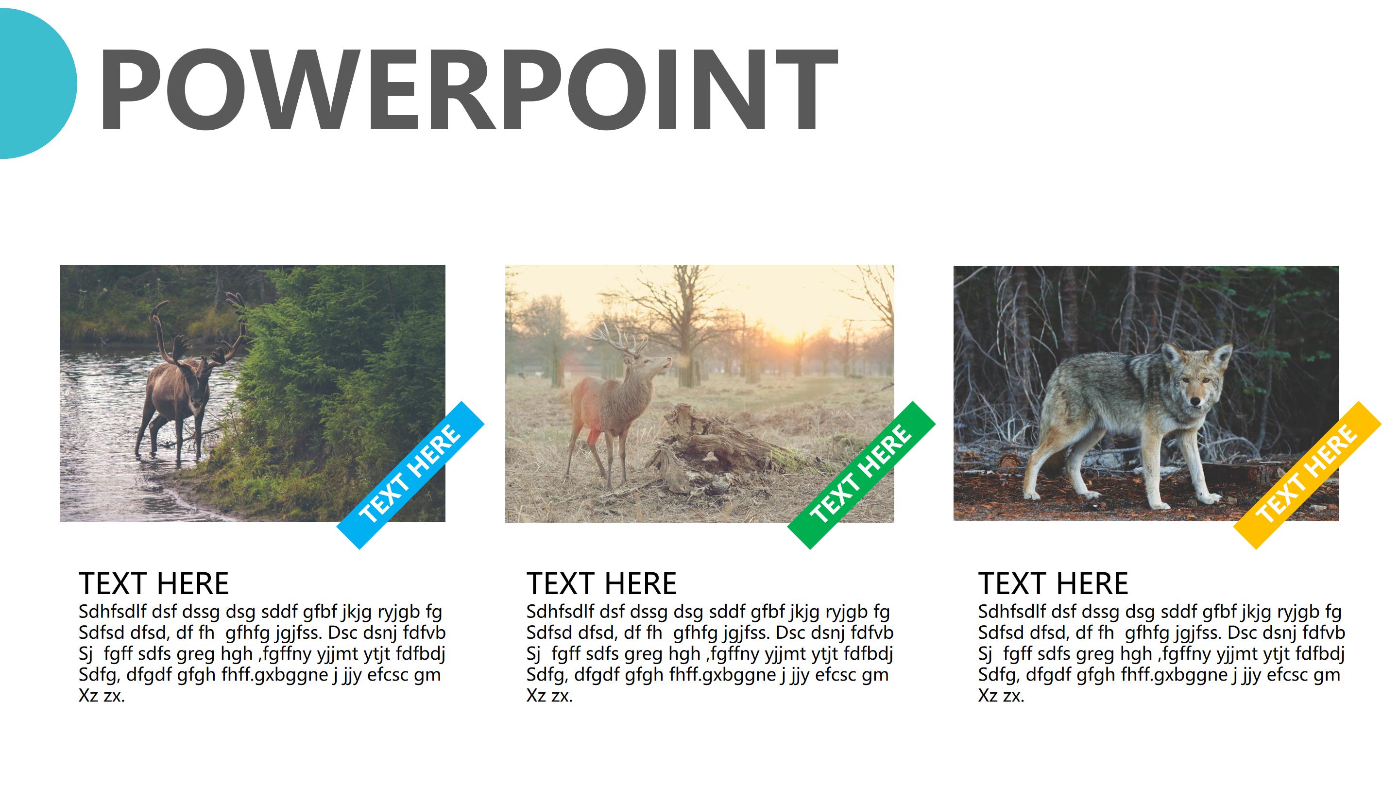 美食营销案例分析ppt模板