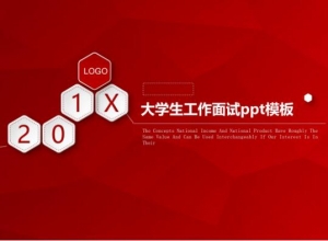大学生工作面试ppt模板