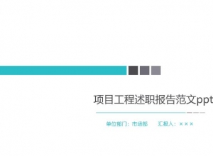 项目工程述职报告范文ppt模板
