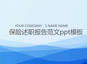 保险述职报告范文ppt模板