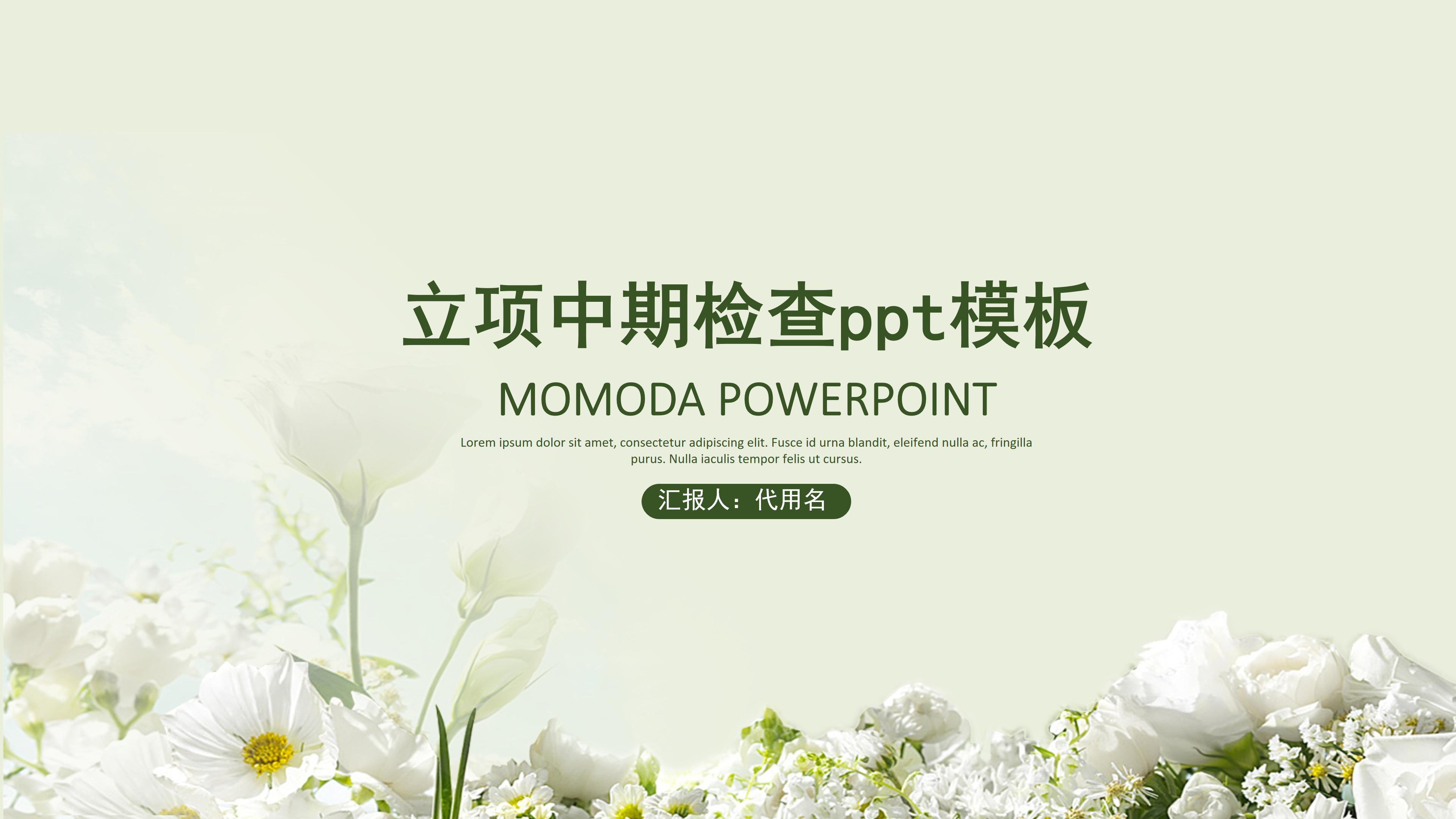 立项中期检查ppt模板