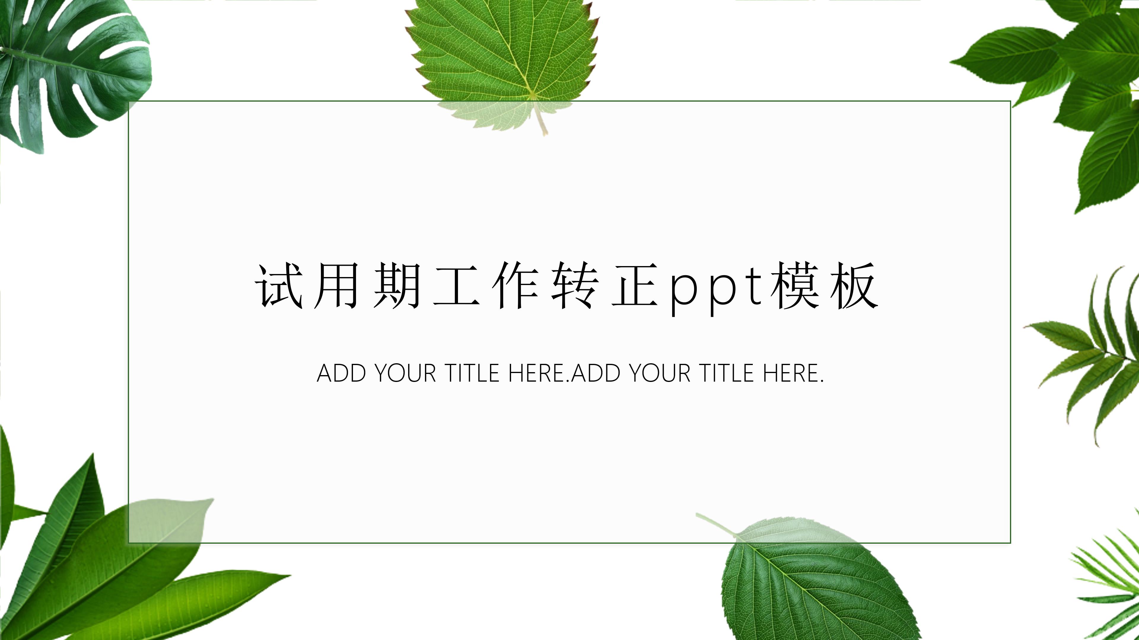 试用期工作转正ppt模板