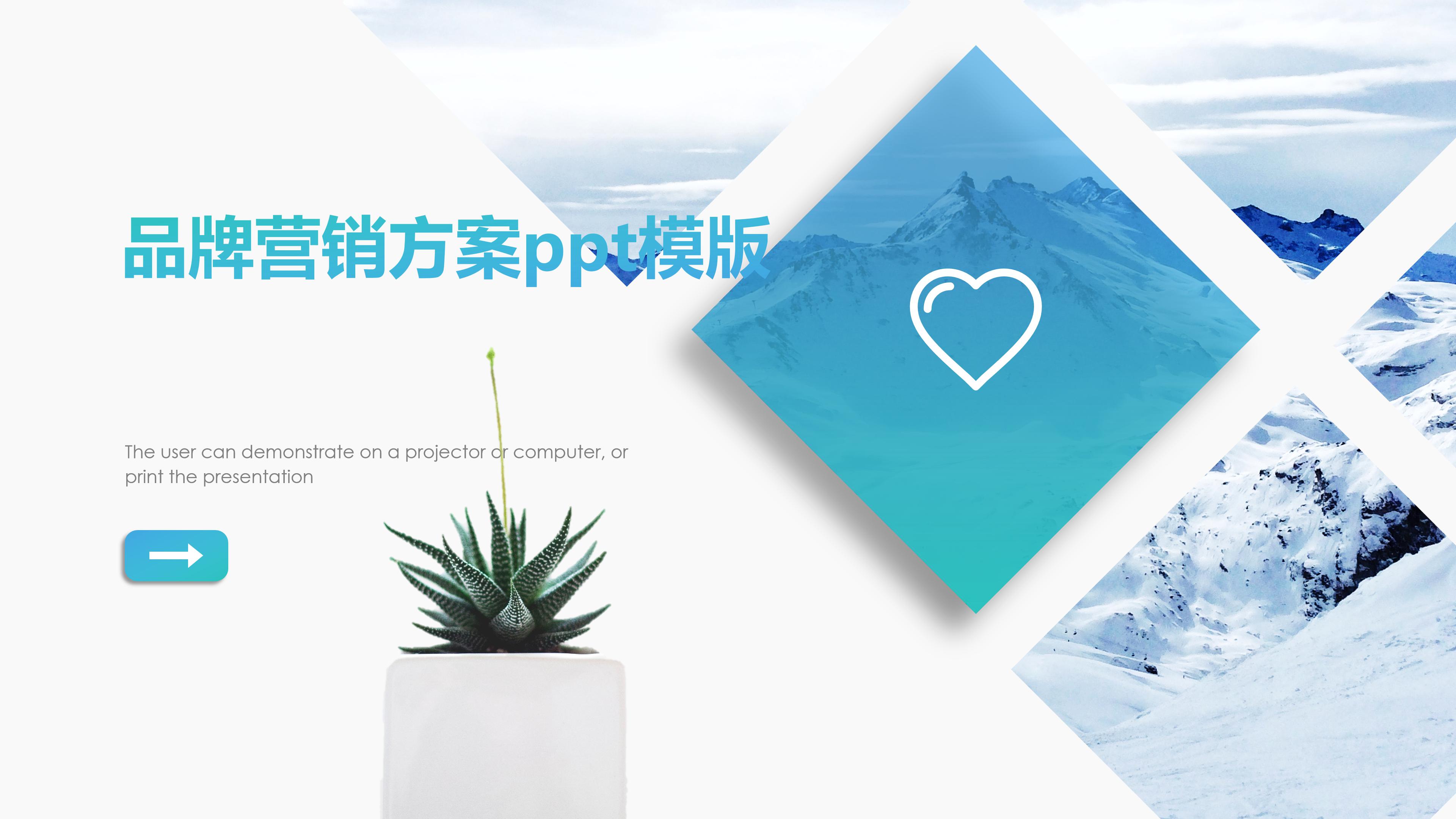 品牌营销方案ppt模版