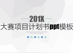 大赛项目计划书ppt模板