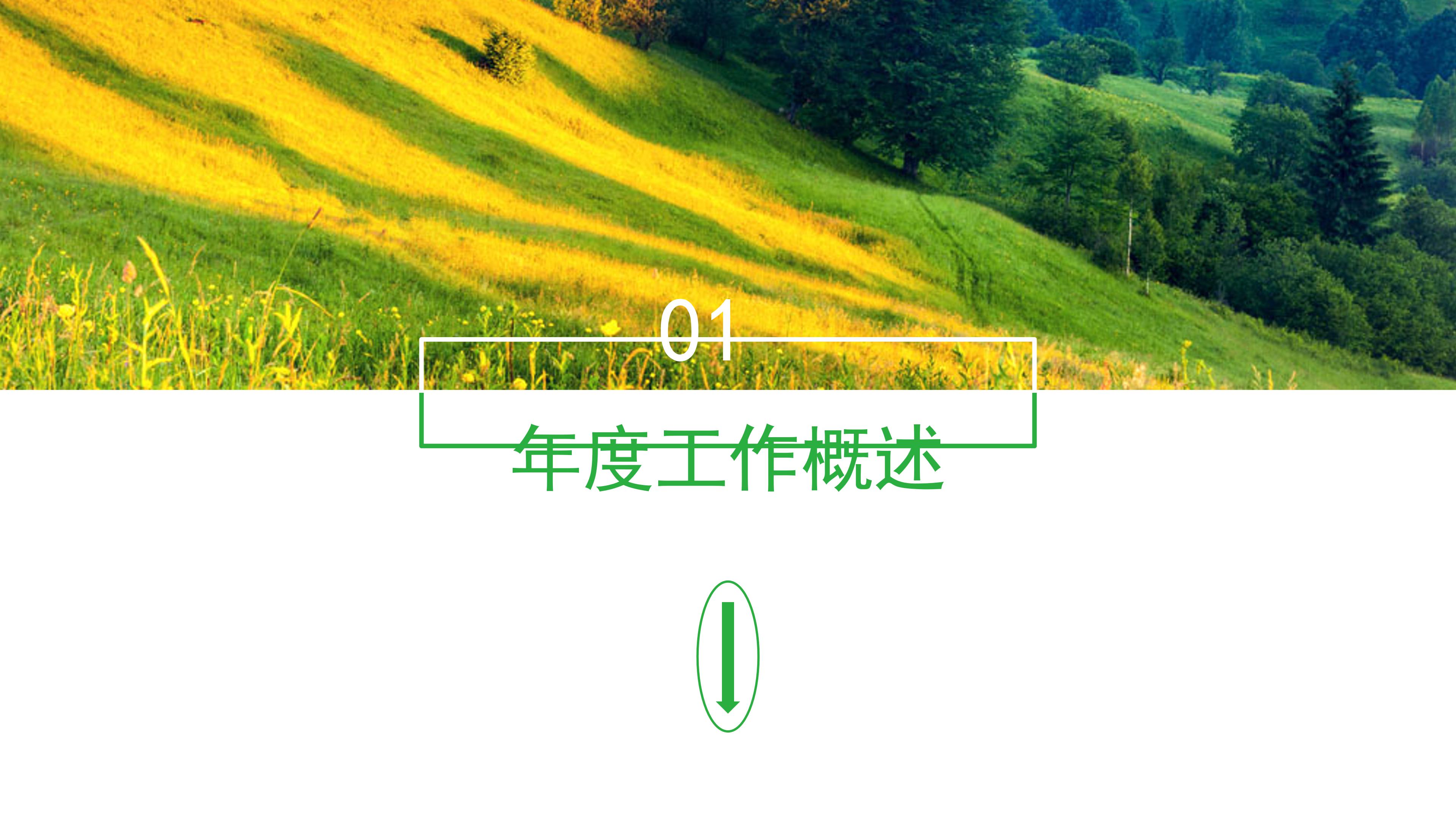 费用预算汇报ppt模板