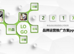 品牌运营推广方案ppt模板