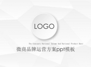 微商品牌运营方案ppt模板
