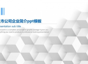 上市公司企业简介ppt模板