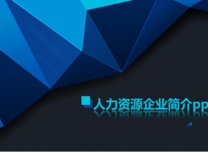人力资源企业简介ppt模板