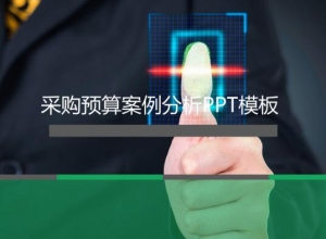 采购预算案例分析ppt模板