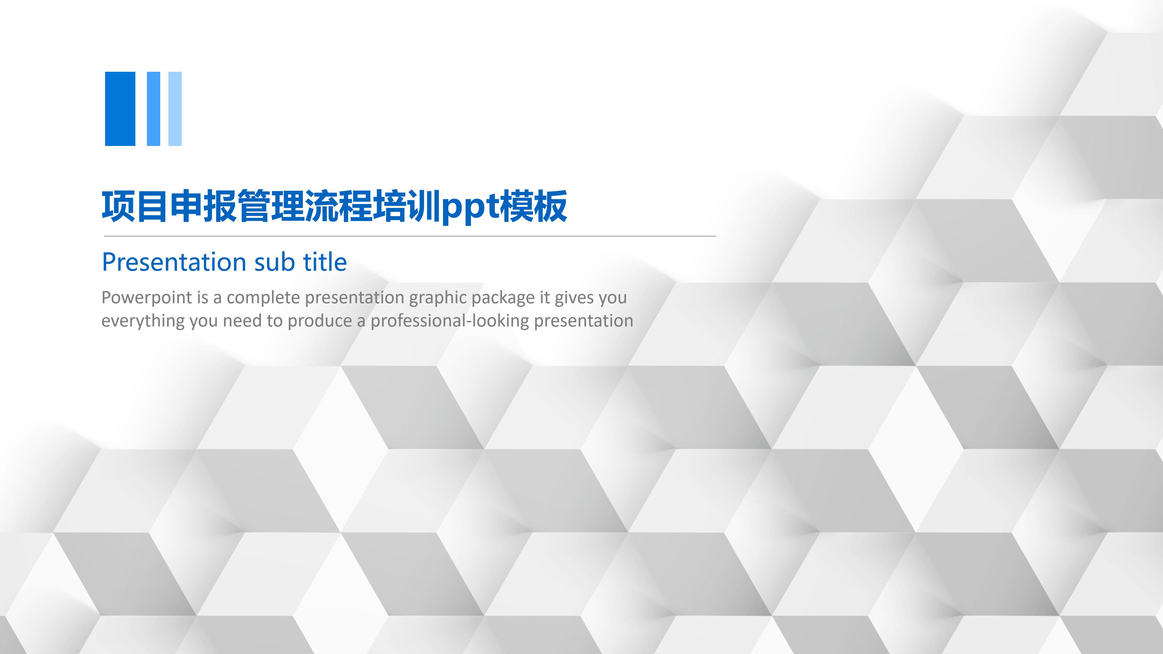 项目申报管理流程培训ppt模板