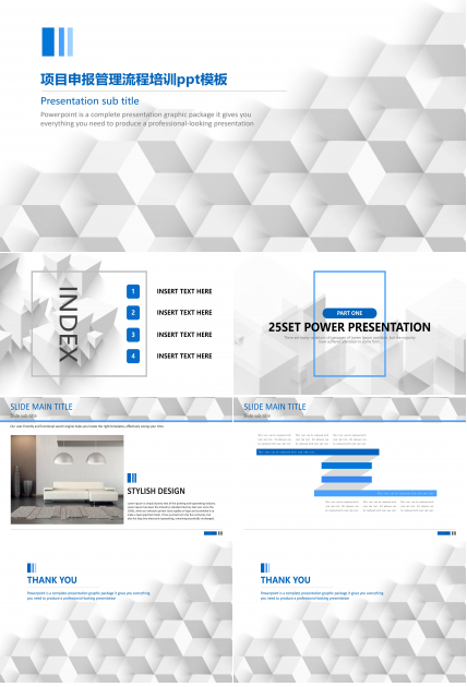 项目申报管理流程培训ppt模板
