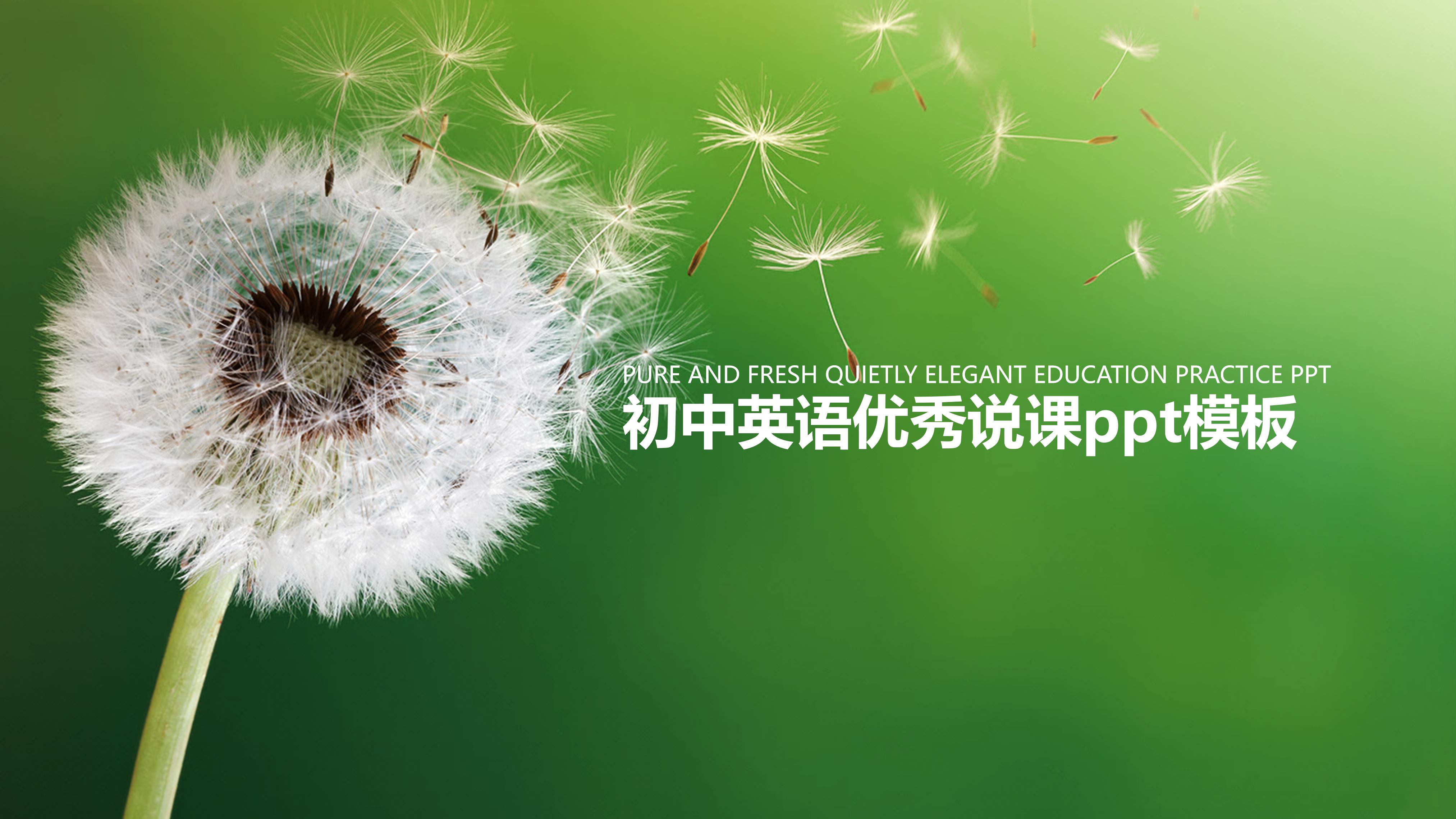 初中英语优秀说课ppt模板