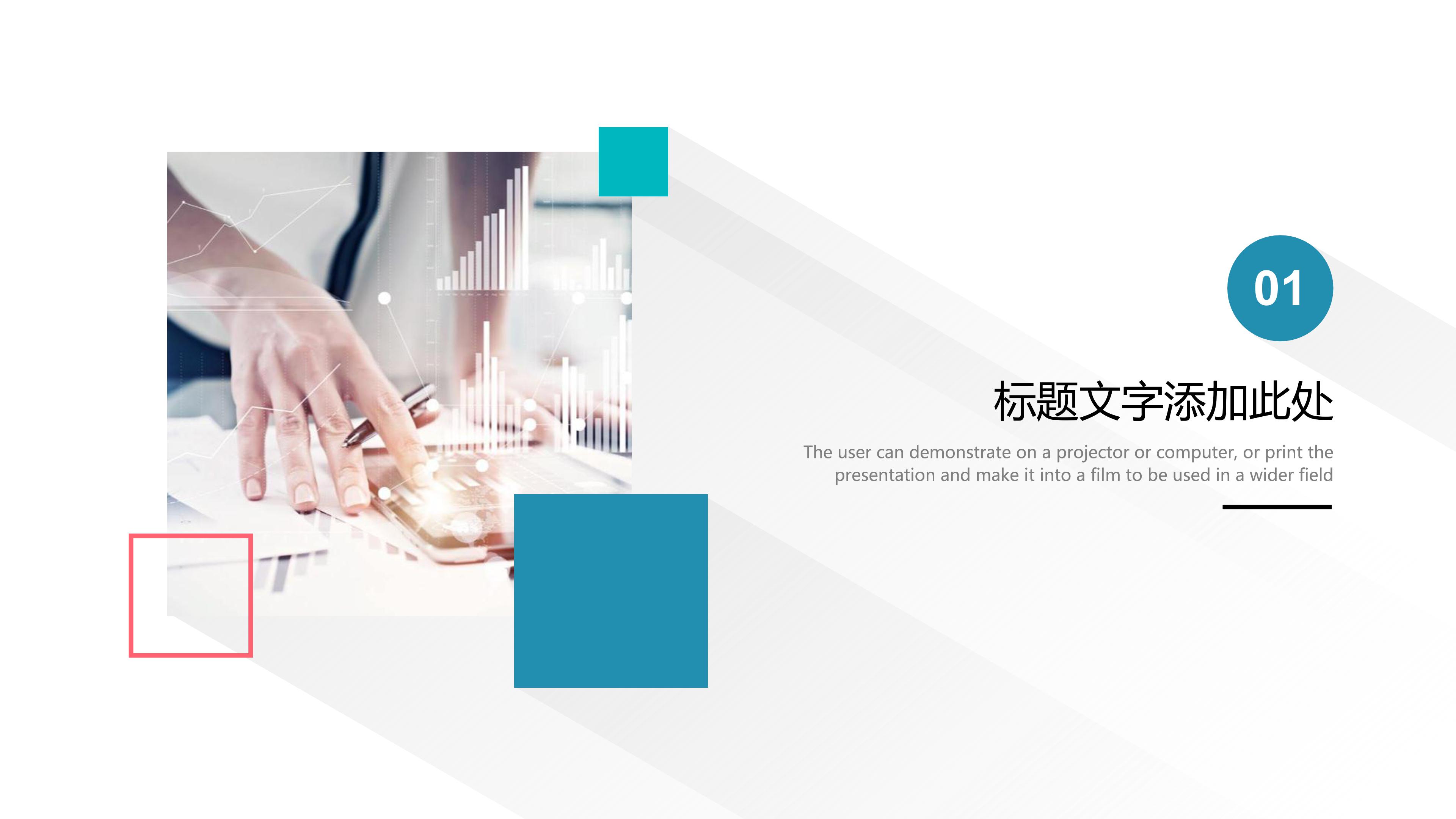 大学英语演讲动物ppt模板