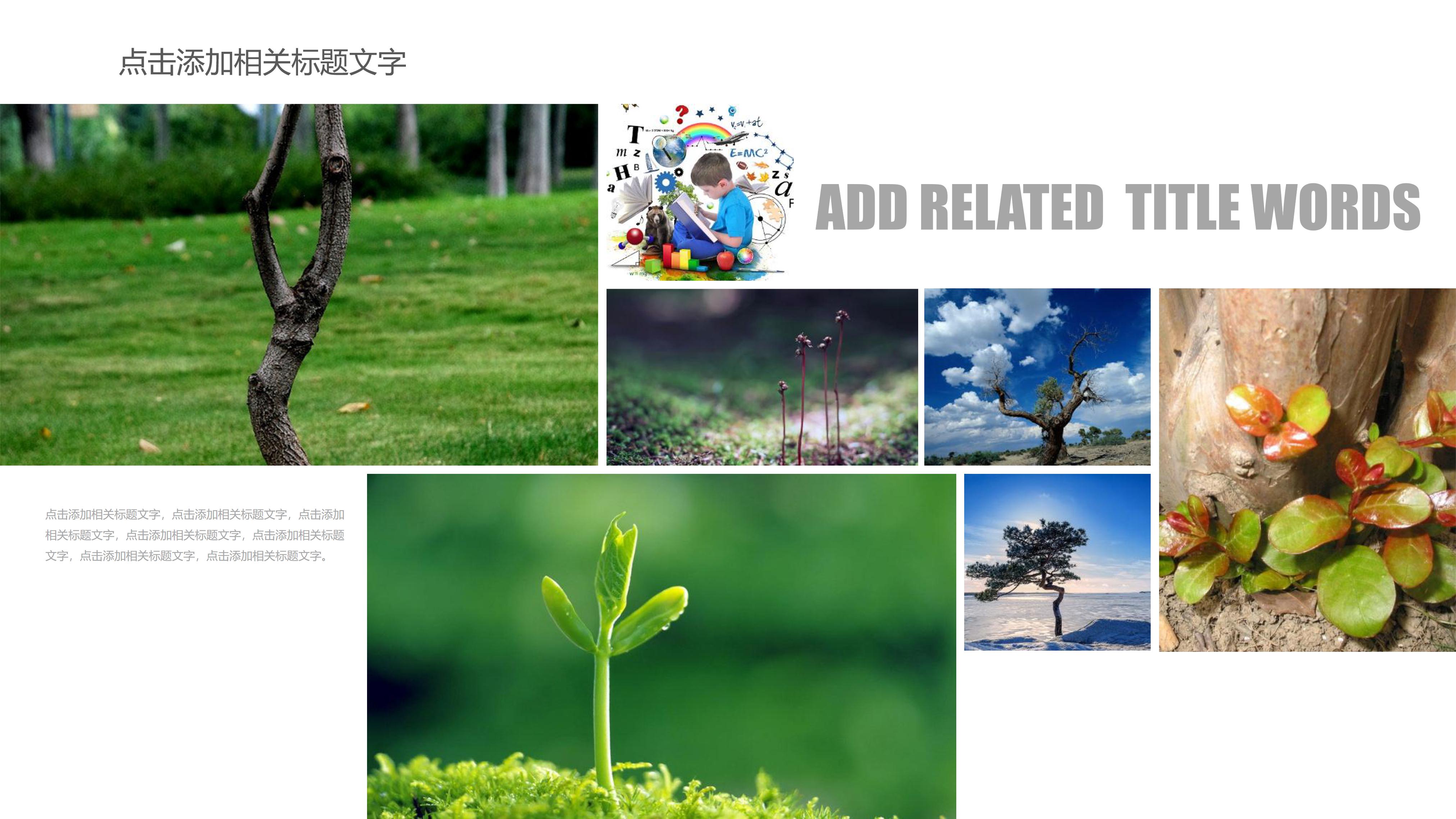 厦门垃圾分类ppt模板