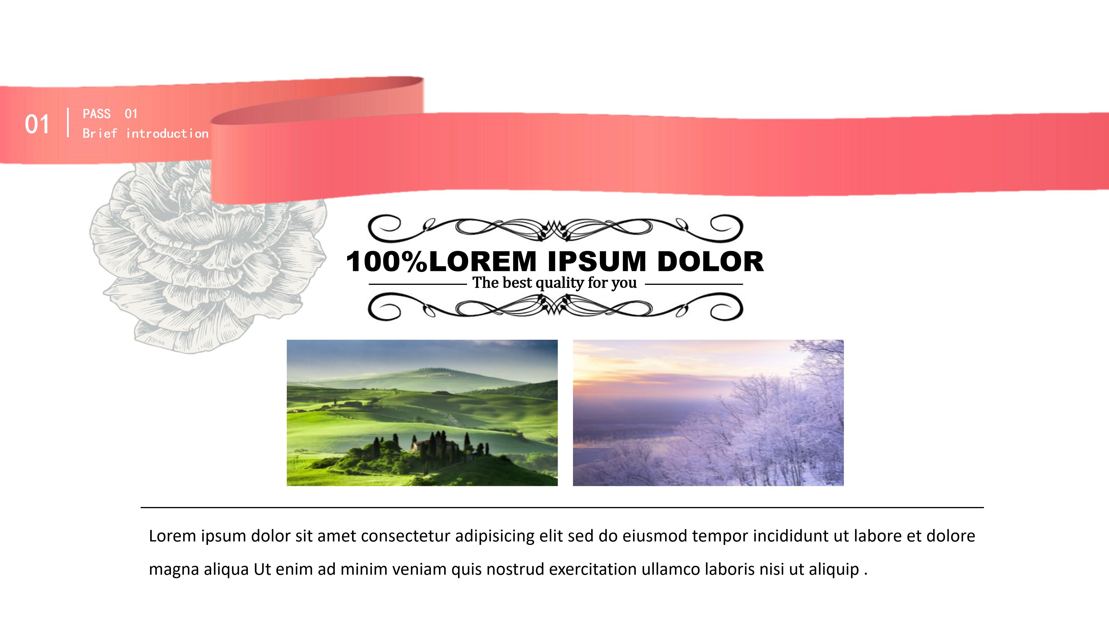 动画项目策划书ppt模板