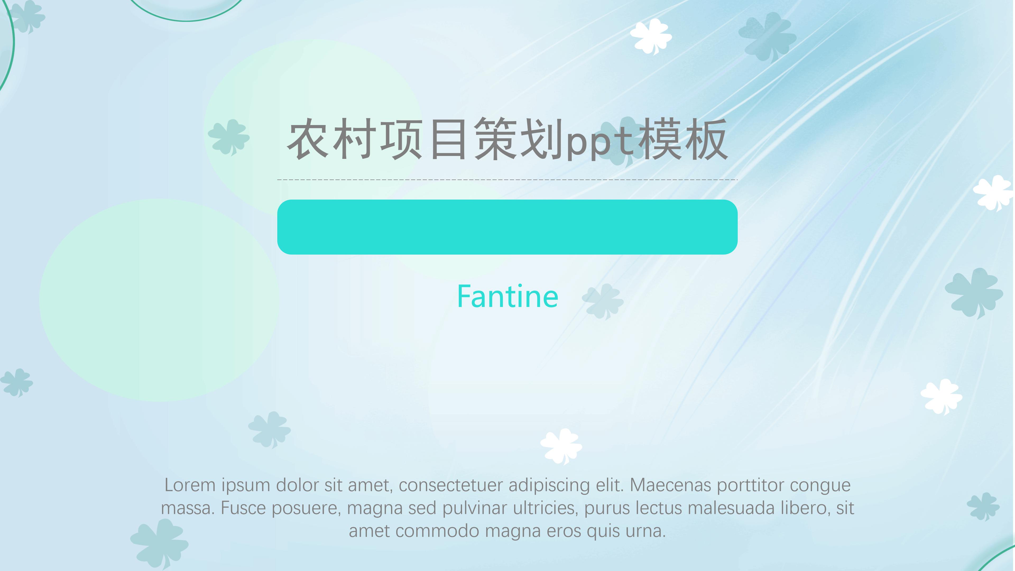 农村项目策划ppt模板