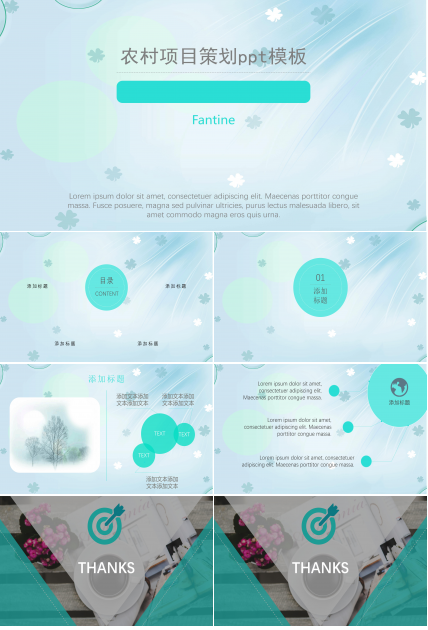 农村项目策划ppt模板