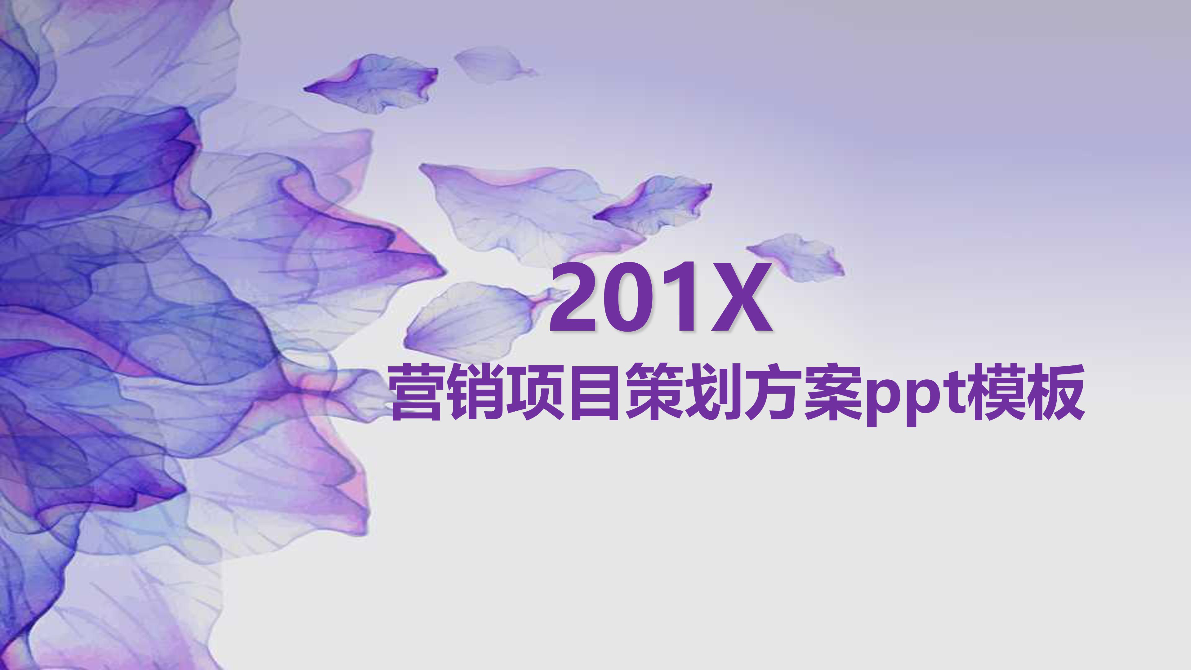 营销项目策划方案ppt模板