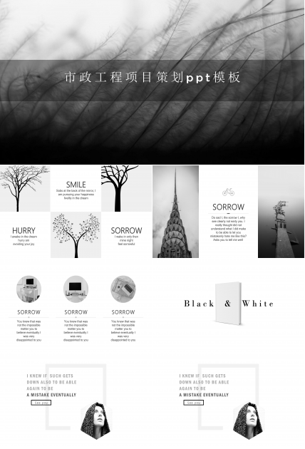 市政工程项目策划ppt模板