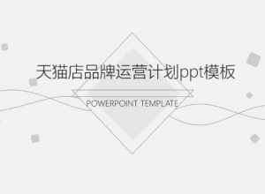 天猫店品牌运营计划ppt模板