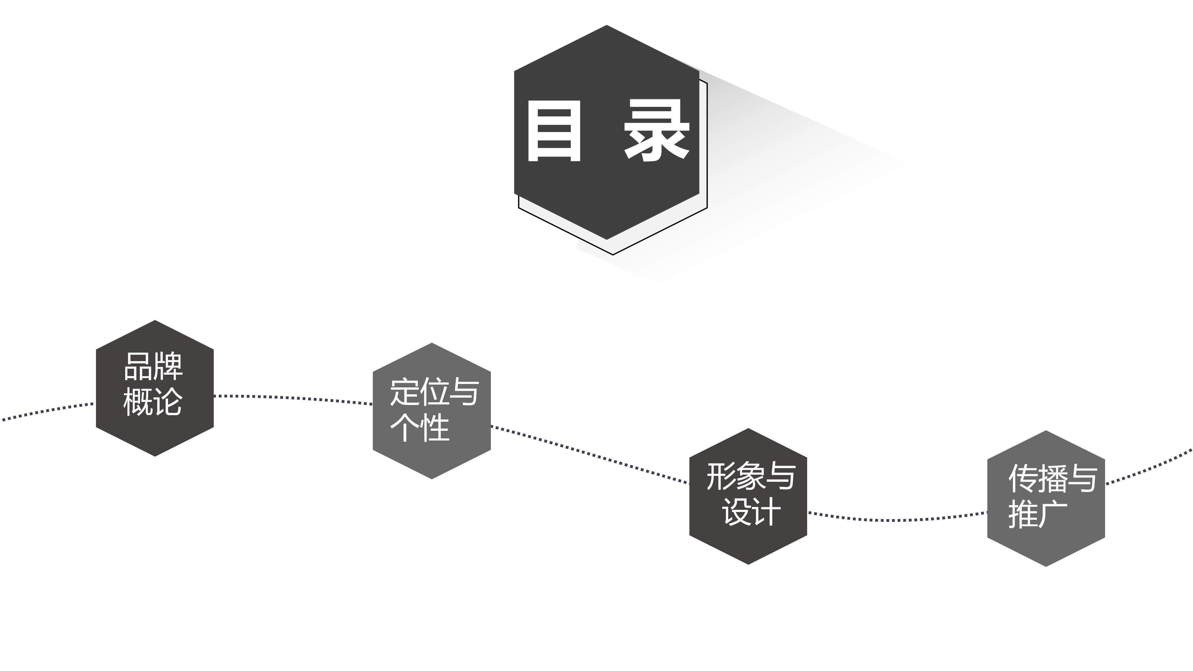 天猫品牌运营方案ppt模板