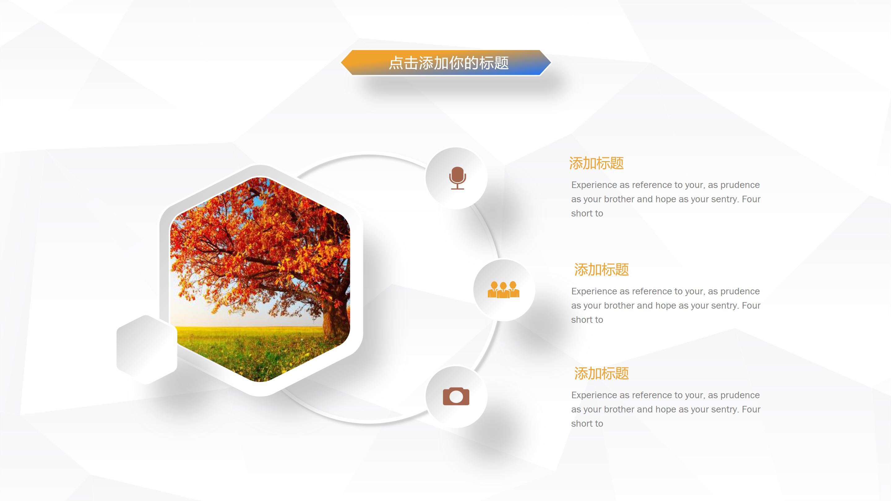 房地产品牌运营方案ppt模板