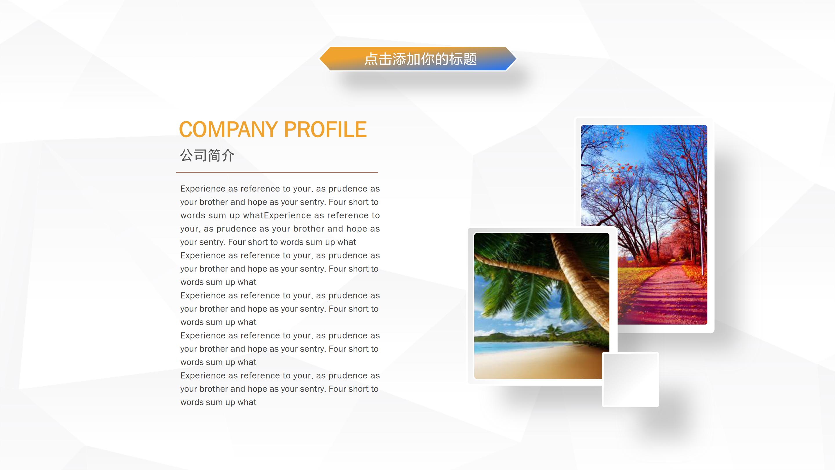 房地产品牌运营方案ppt模板