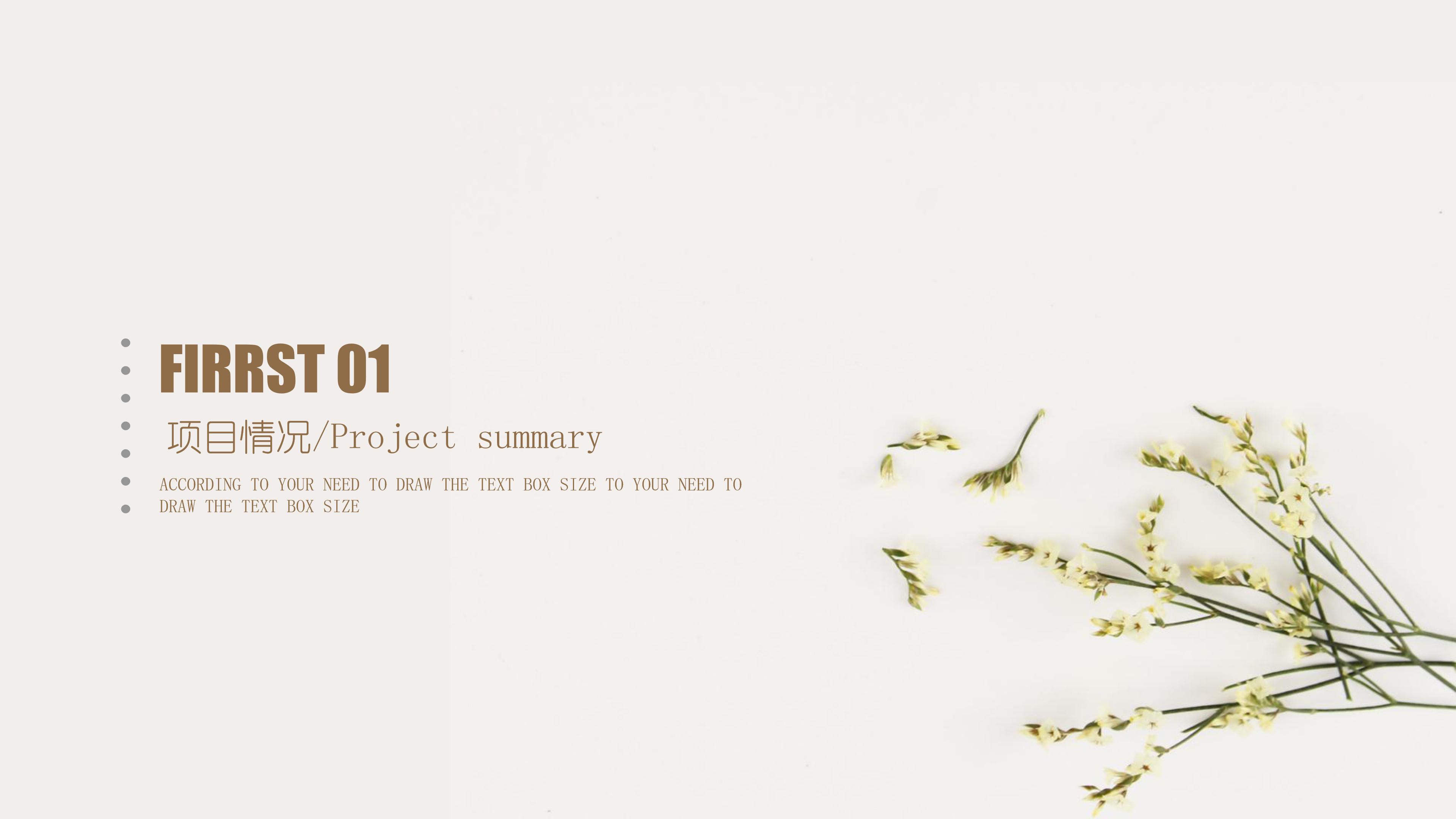 幼儿园中班公开课ppt模板