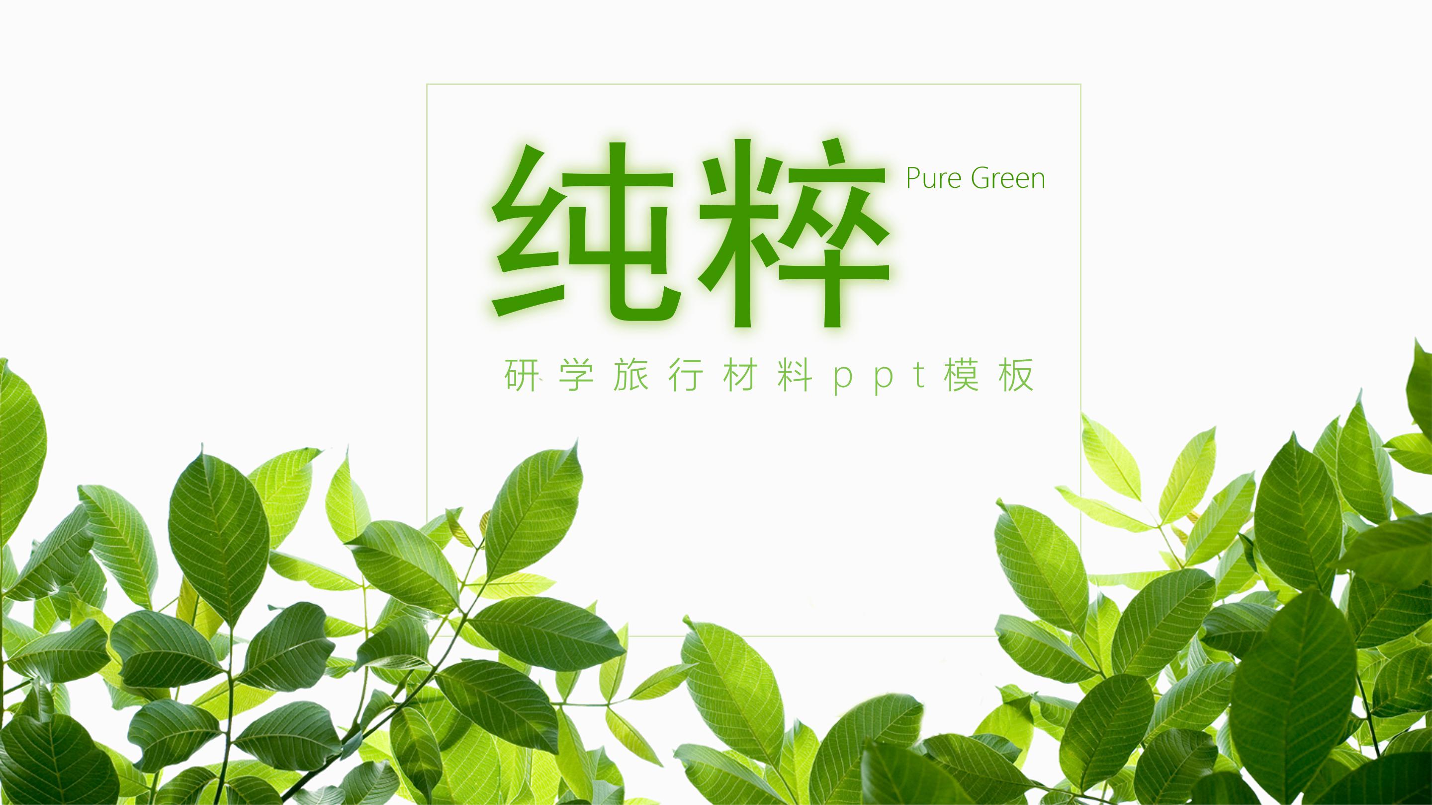 研学旅行材料ppt模板