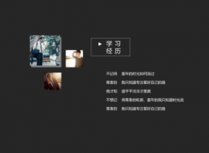 隆重简洁黑色调个人介绍求职简历PPT模板