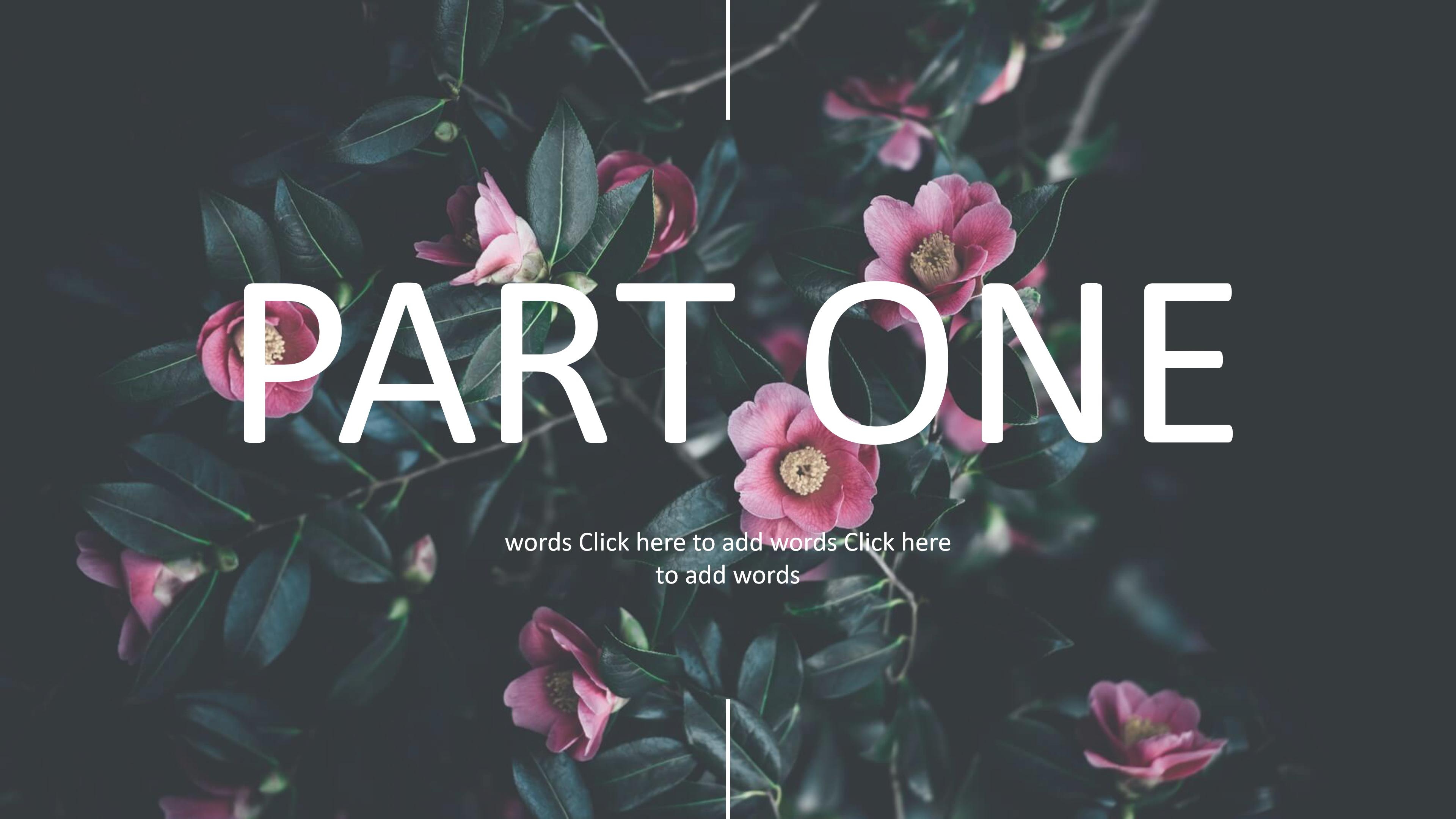 优秀历史人物介绍ppt模板