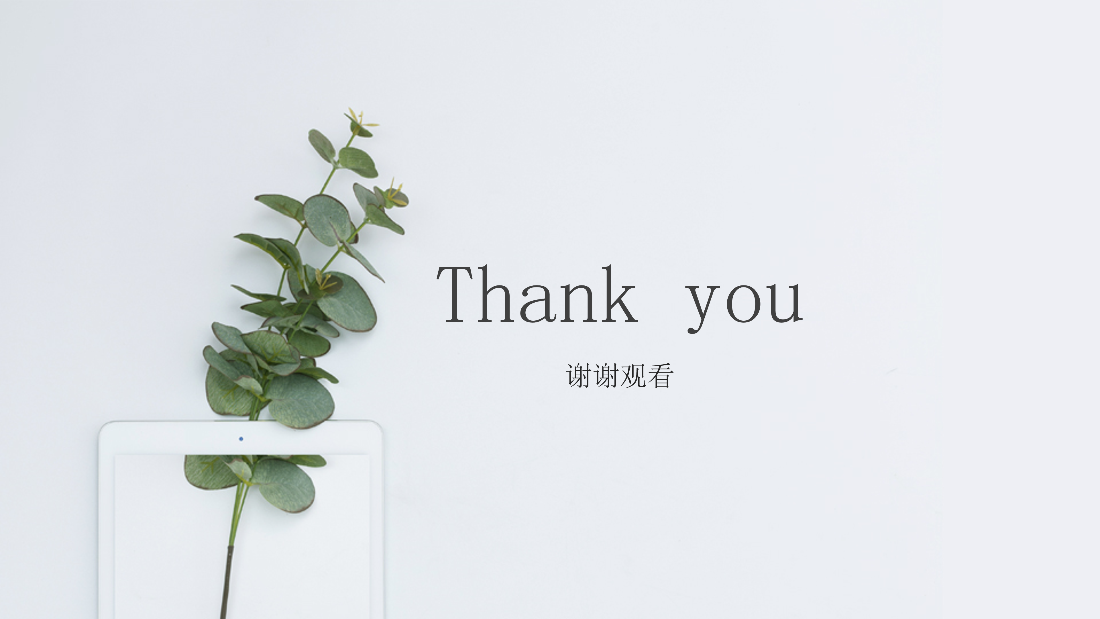 淡雅简约绿色清新PPT模板