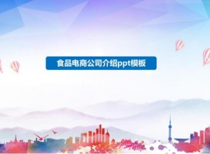 食品电商公司介绍ppt模板