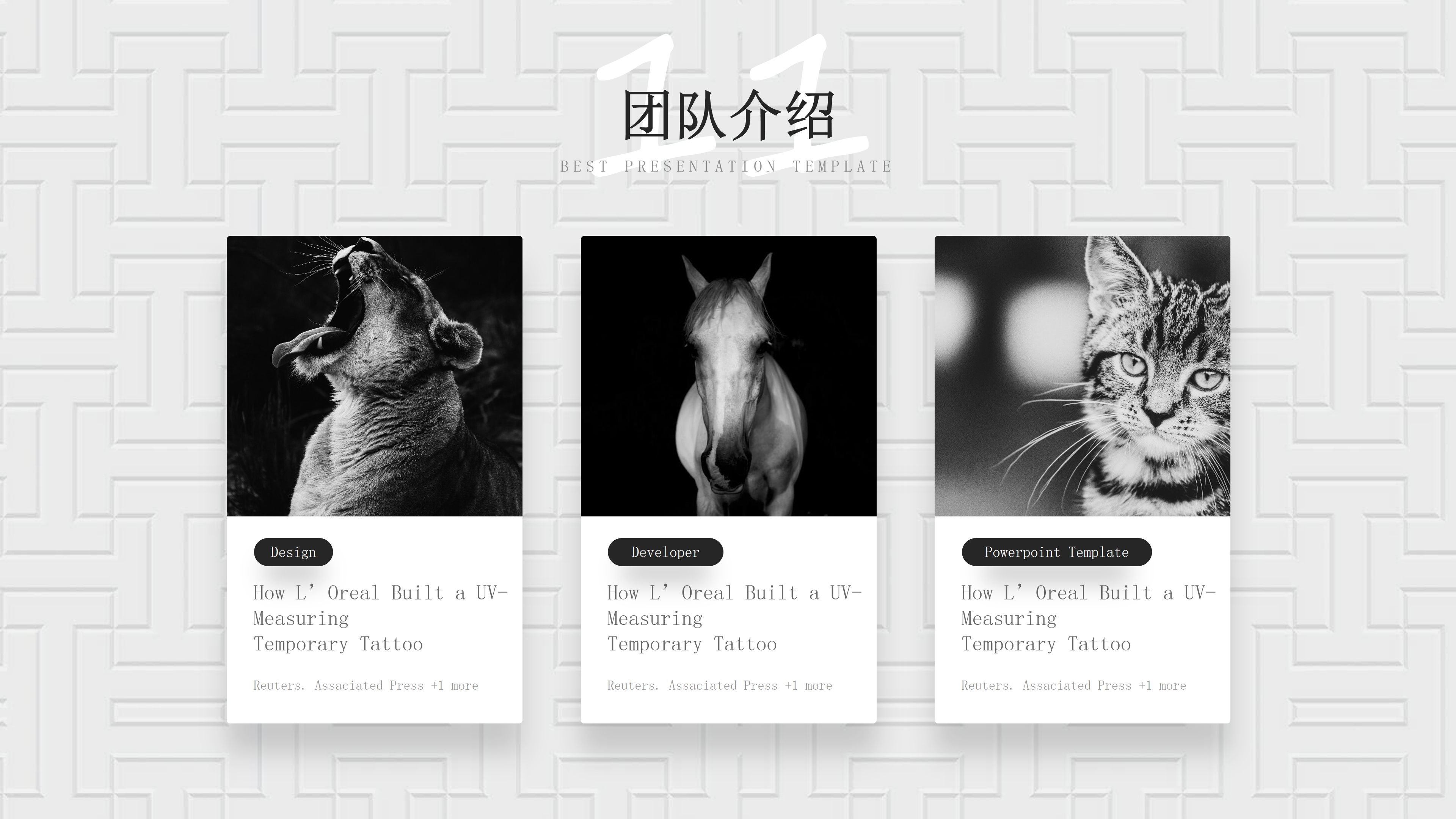 高端质感时尚商务PPT模板