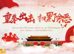 重拳出击扫黑除恶专项斗争汇报ppt模板